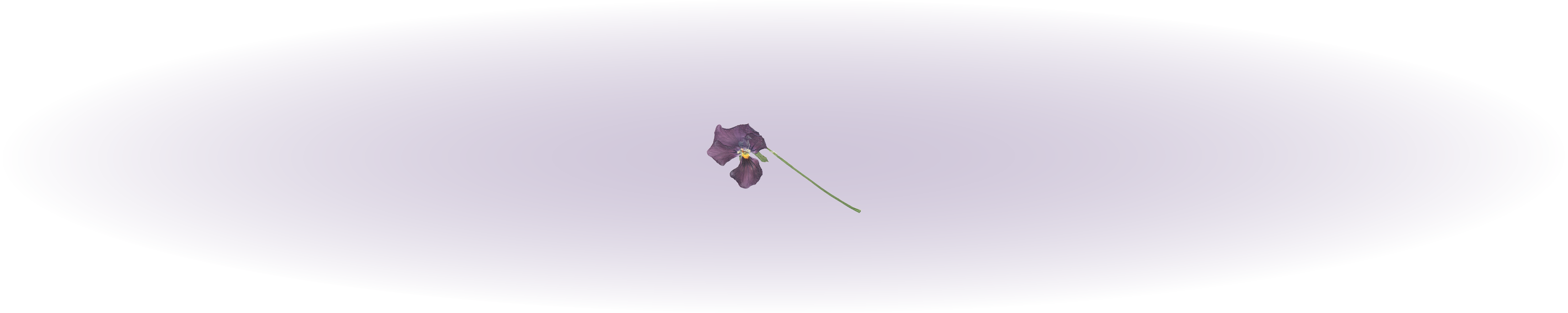 Onlineprojekt Lesbengeschichte