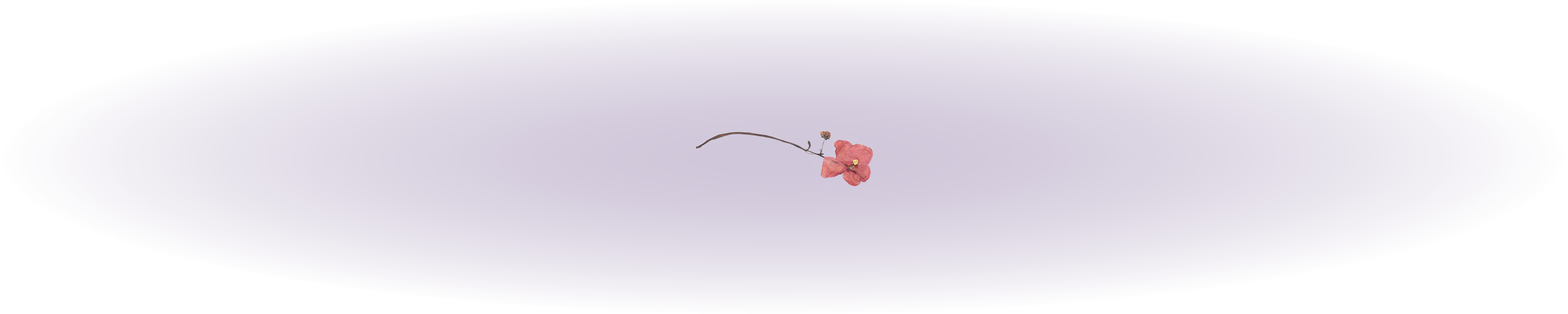 Magnus-Hirschfeld-Gesellschaft e.V.