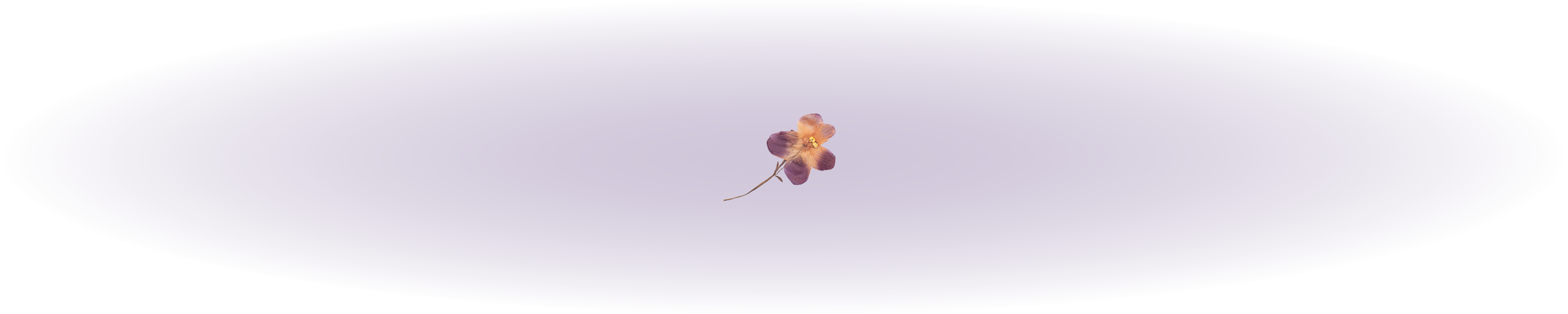 Johannes Bergerhausen